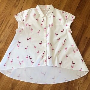 🦩 Zara Trafaluc Collection flamingo hi-lo shirt size medium